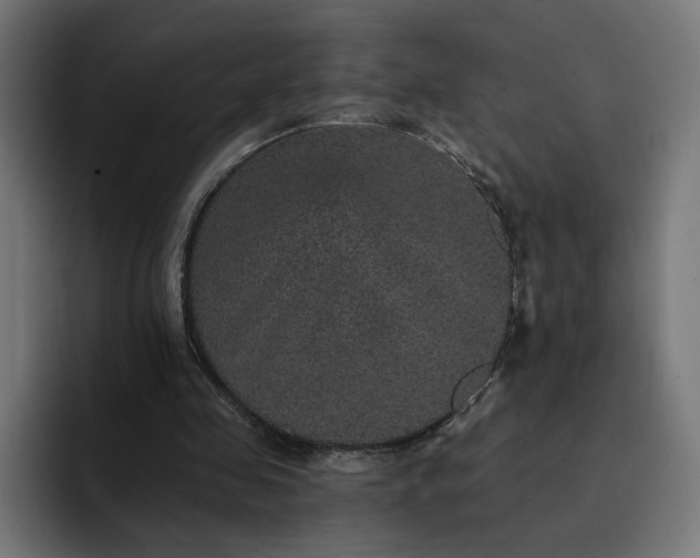 X0000093130341200710101103