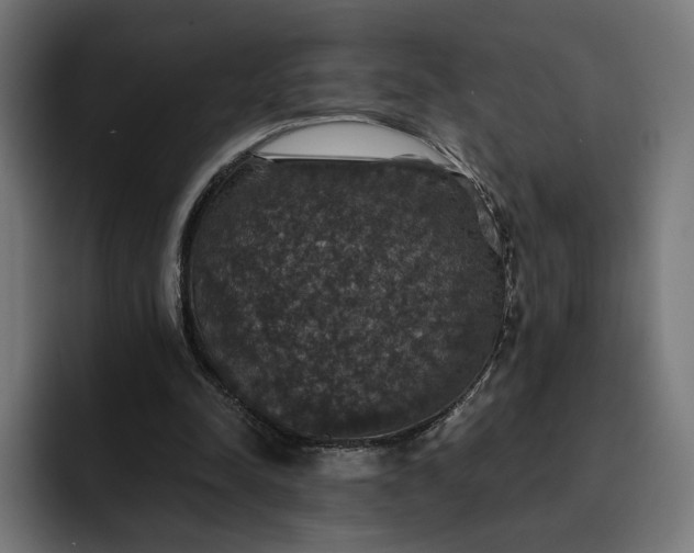 X0000093130342200710101103