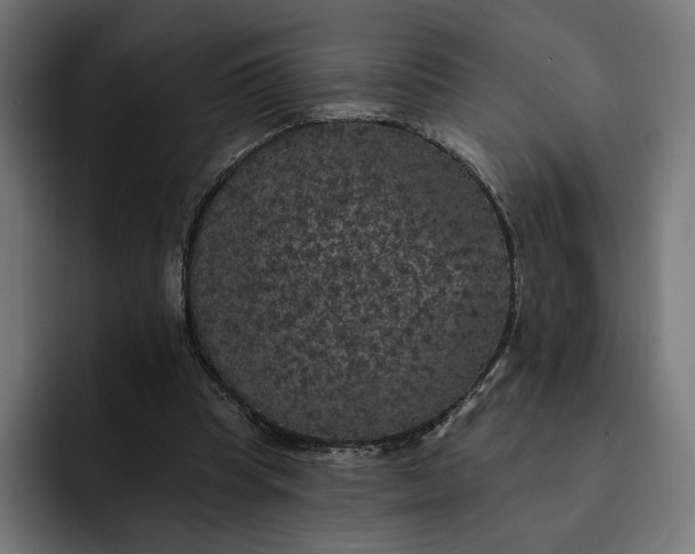 X0000093130345200710101103