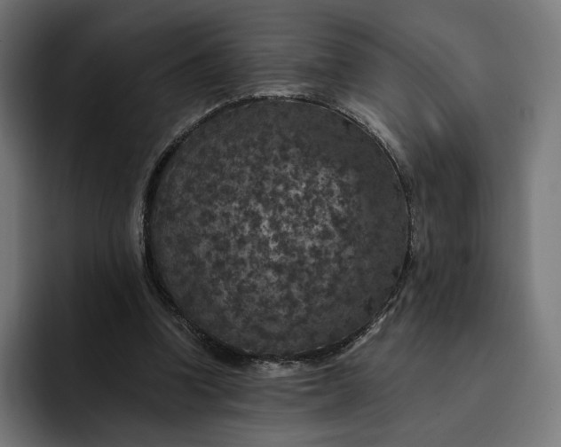 X0000093130346200710101103