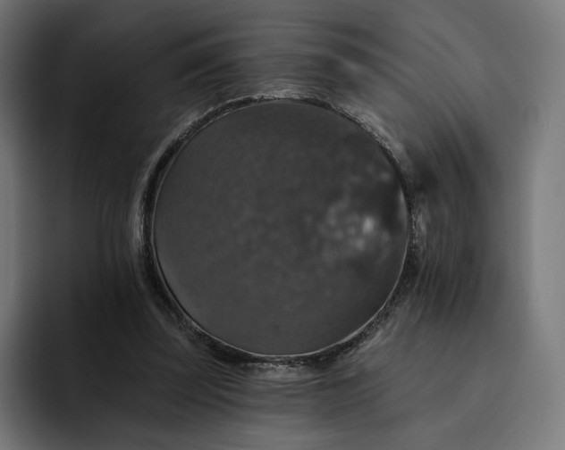 X0000093130347200710101103