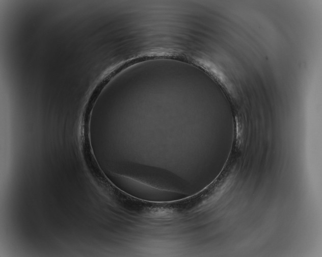 X0000093130348200710101103