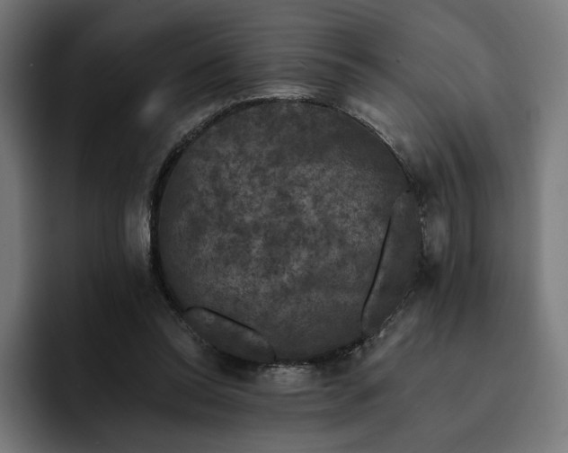 X0000093130350200710101103