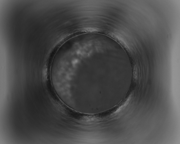 X0000093130351200710101103