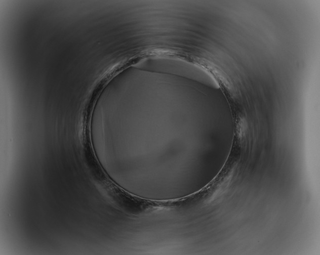 X0000093130352200710101103