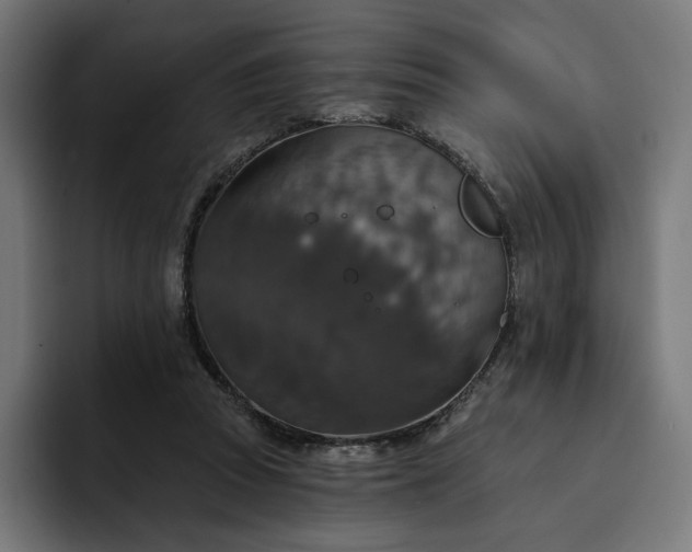 X0000093130353200710101103