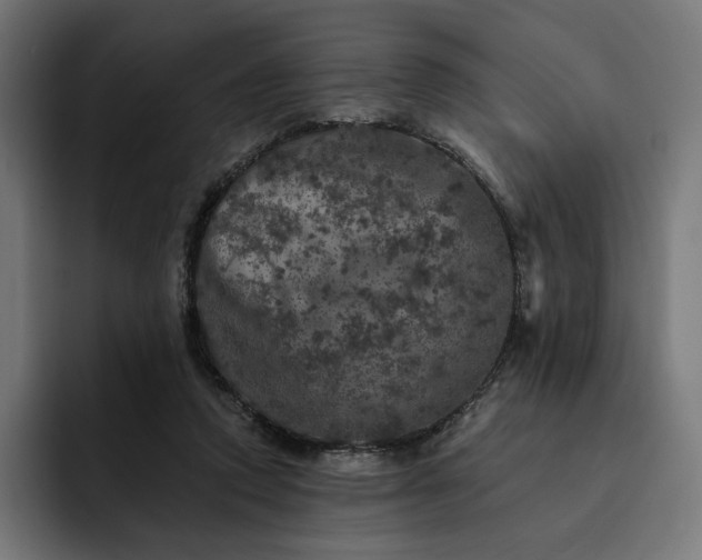 X0000093130354200710101103