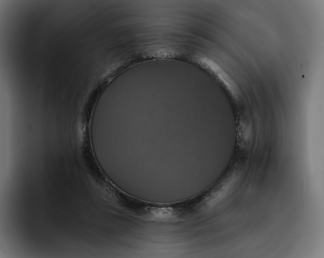 X0000093130355200710101103