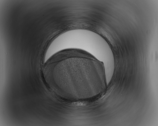 X0000093130356200710101103