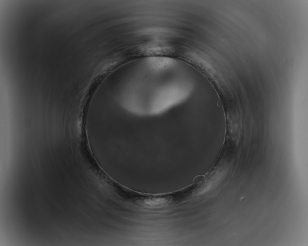 X0000093130357200710101103