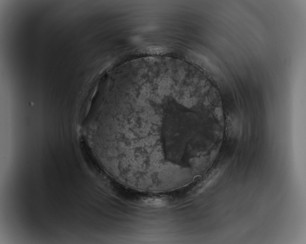 X0000093130358200710101103