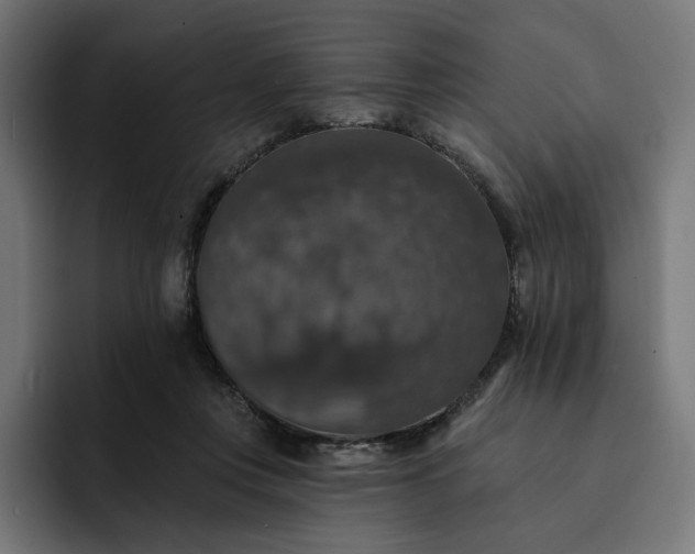 X0000093130359200710101103