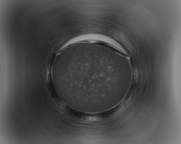 X0000093130360200710101103