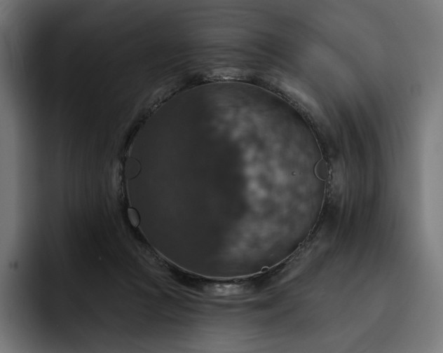 X0000093130361200710101103