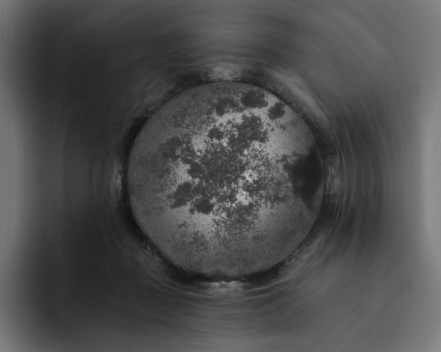 X0000093130363200710101103