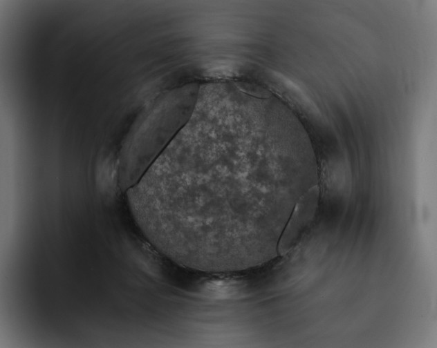 X0000093130364200710101103