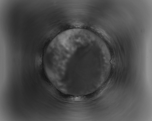 X0000093130365200710101103