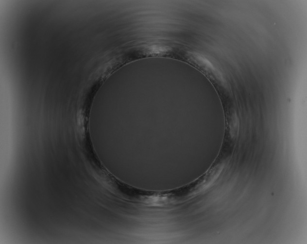 X0000093130366200710101103