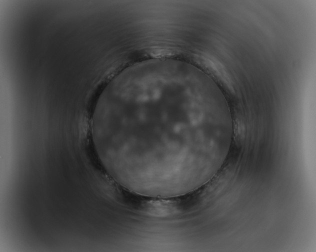 X0000093130367200710101103