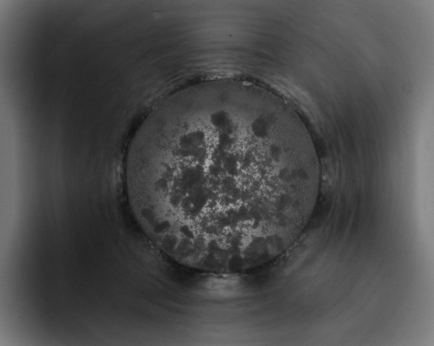 X0000093130369200710101103