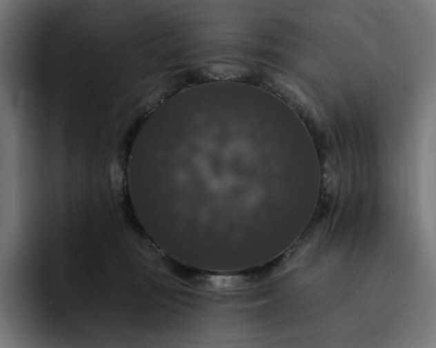 X0000093130371200710101103