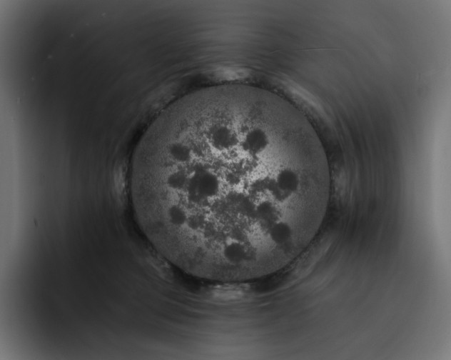 X0000093130373200710101103