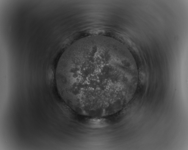 X0000093130375200710101103