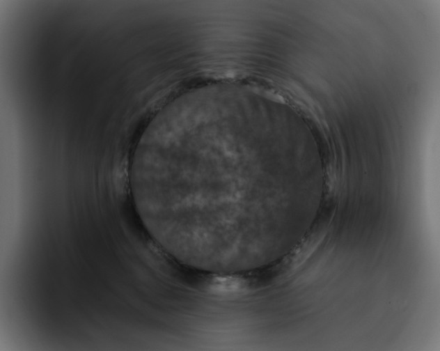 X0000093130376200710101103