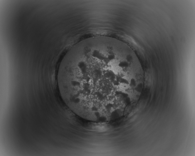 X0000093130377200710101103