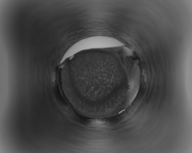 X0000093130380200710101103