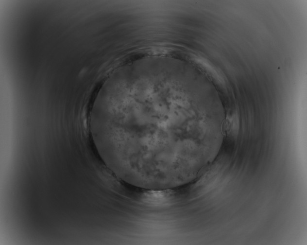 X0000093130381200710101103