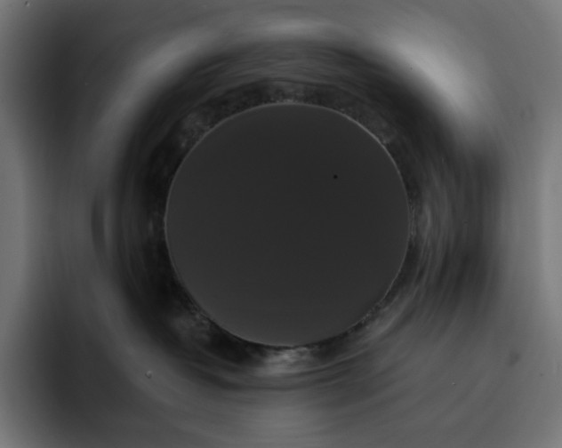 X0000093130382200710101103