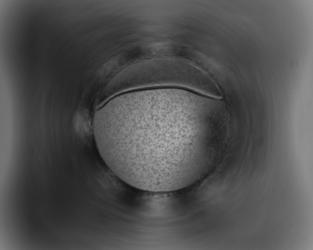 X0000093130384200710101103