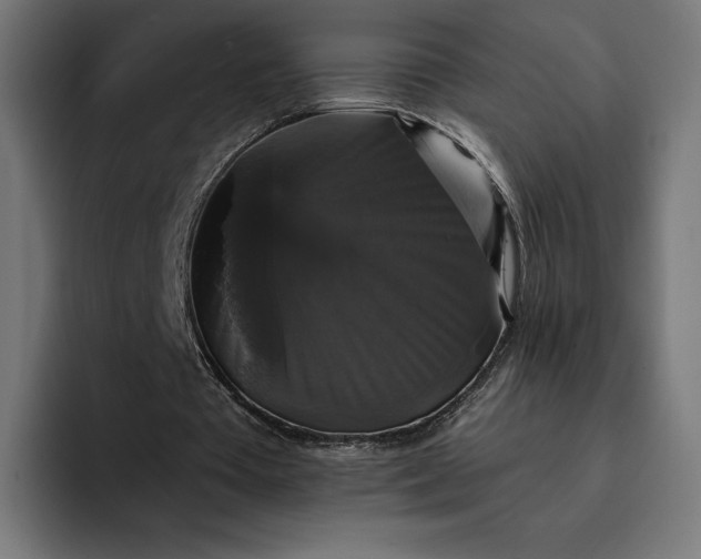 X0000093130385200710101103