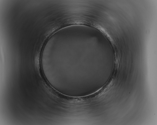 X0000093130386200710101103