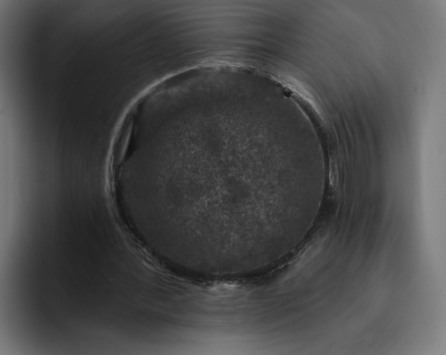 X0000093130388200710101103