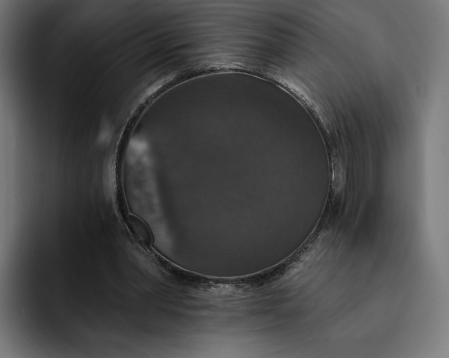 X0000093130390200710101103