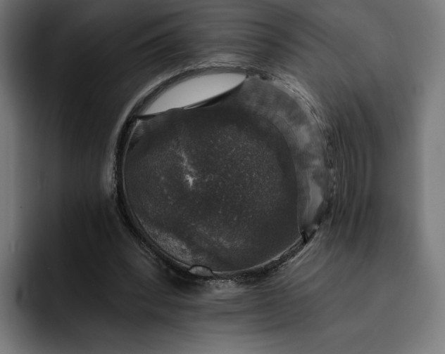 X0000093130392200710101103