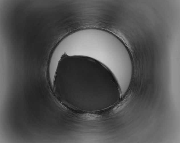 X0000093130393200710101103