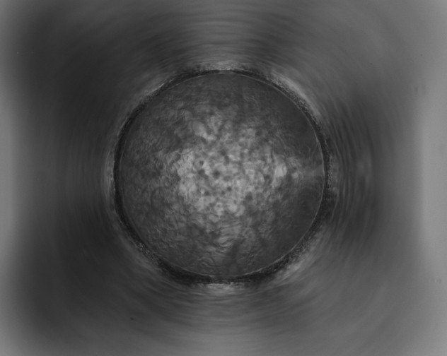 X0000093130394200710101103