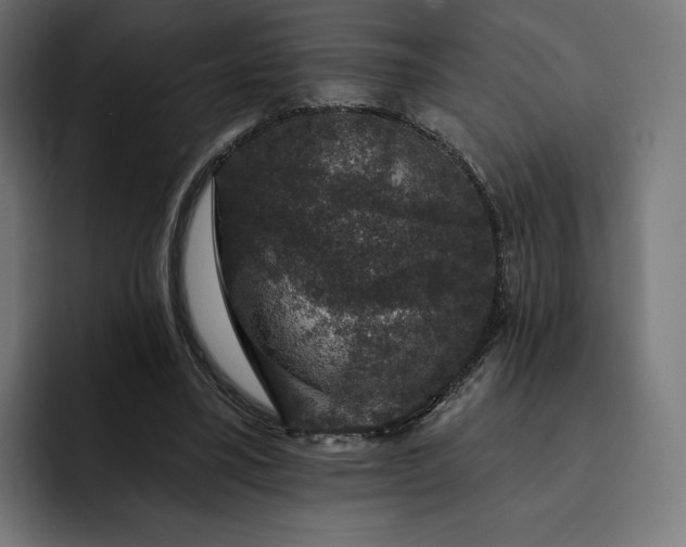 X0000093130395200710101103