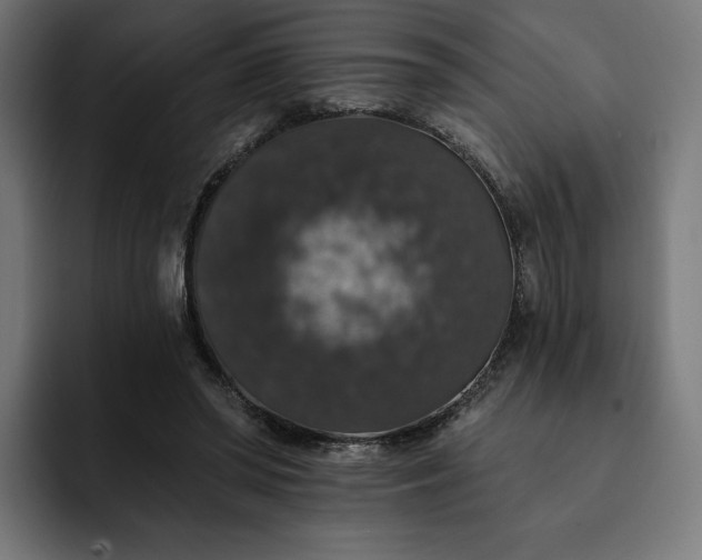 X0000093130398200710101103