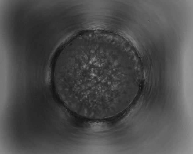 X0000093130400200710101103