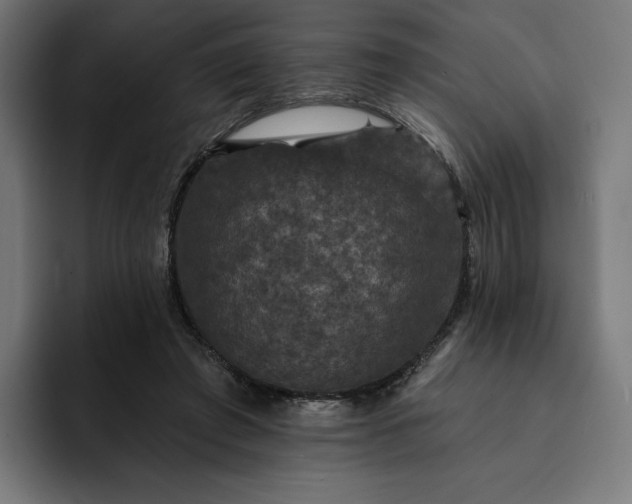 X0000093130401200710101103