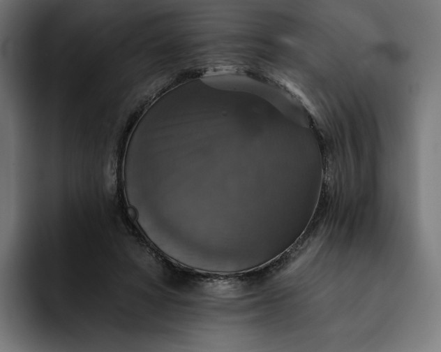 X0000093130402200710101103