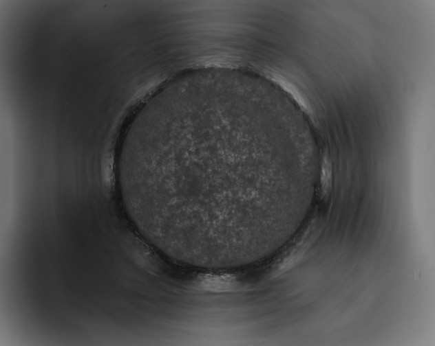 X0000093130403200710101103