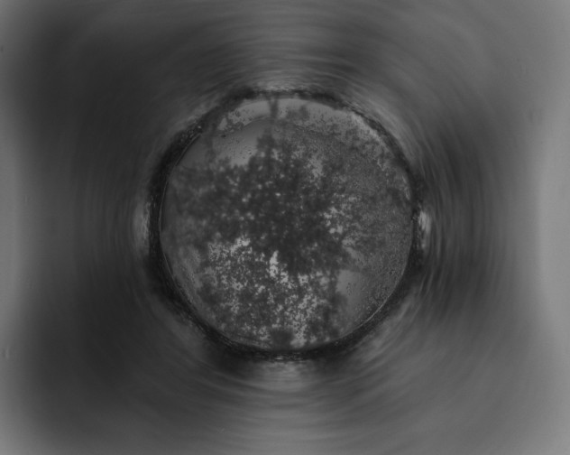 X0000093130404200710101103