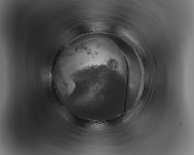 X0000093130405200710101103