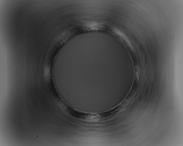 X0000093130410200710101102