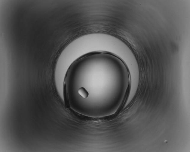 X0000093130411200710101102